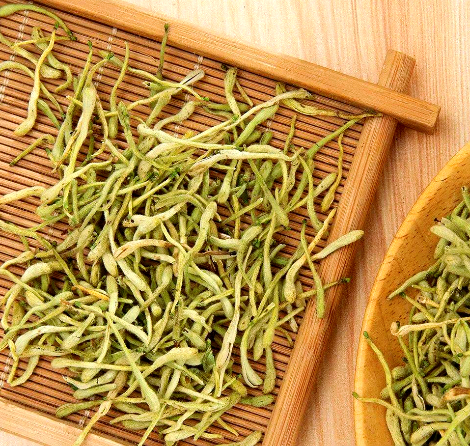 金銀花：清熱解毒的夏日守護(hù)者