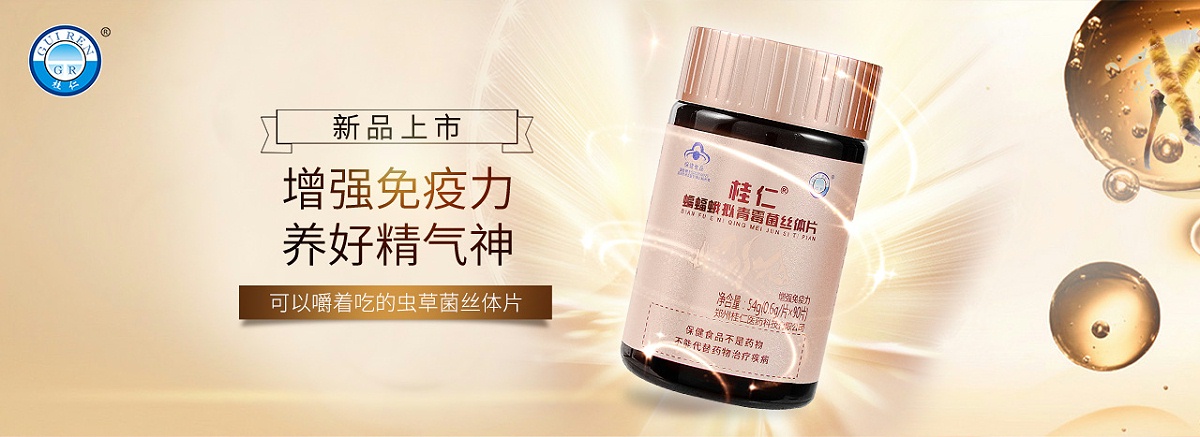 桂仁蟲(chóng)草菌絲體片01