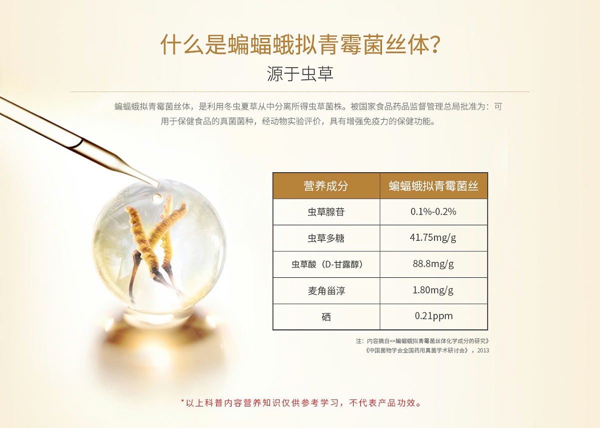 桂仁蟲(chóng)草菌絲體片02