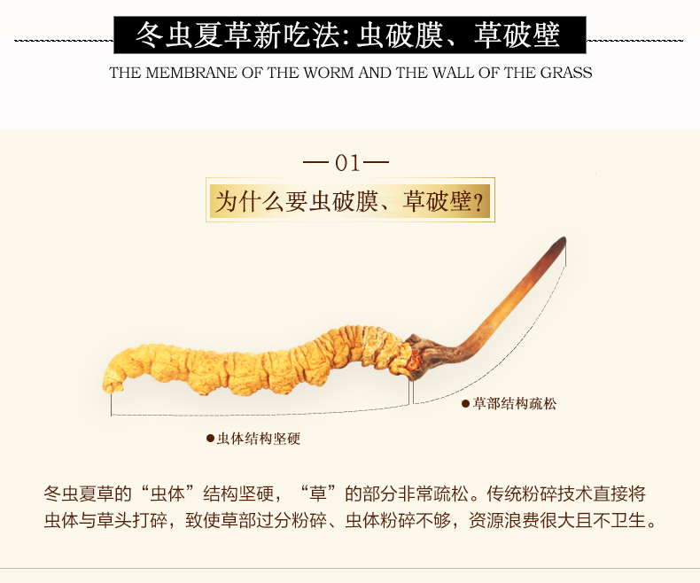 蟲草膠囊5