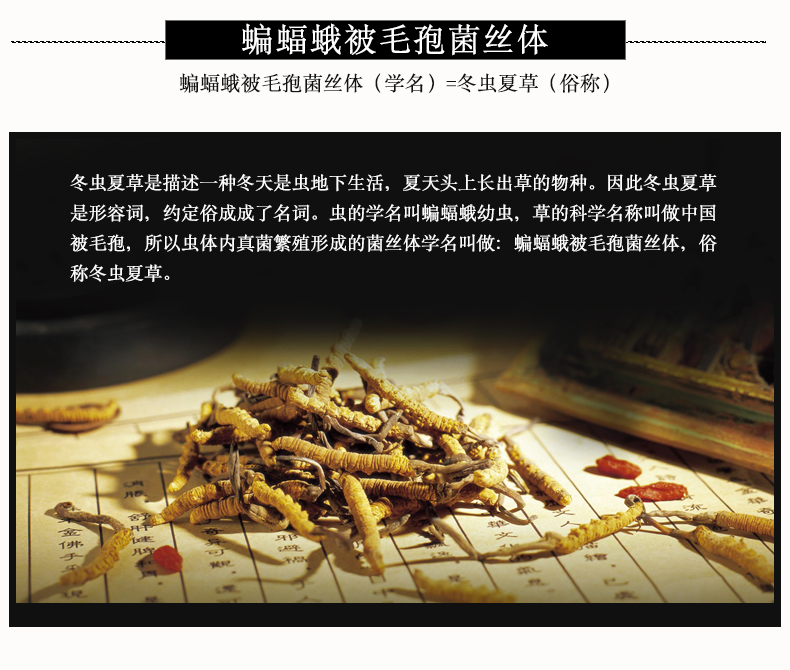 蟲草膠囊3